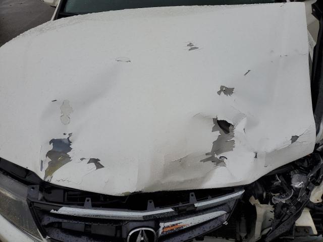JH4CL96846C036849 - 2006 ACURA TSX WHITE photo 11