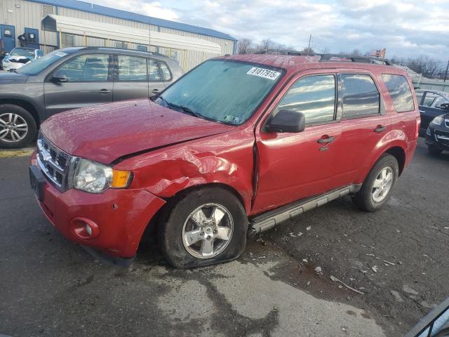 2011 FORD ESCAPE XLT, 