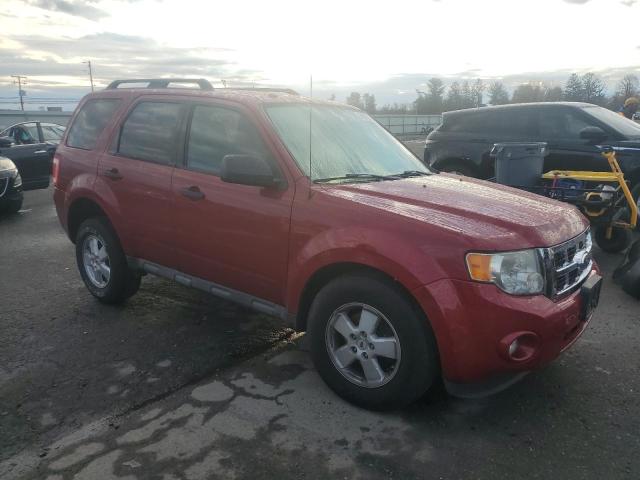 1FMCU9DG0BKB43496 - 2011 FORD ESCAPE XLT წითელი ფოტო 4