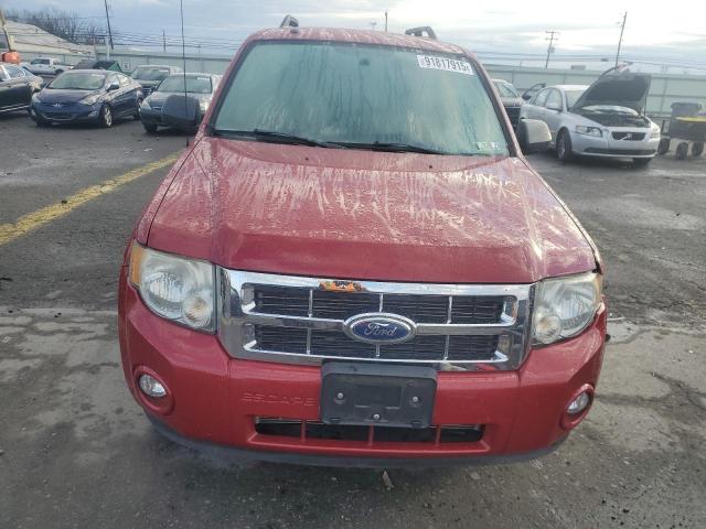 1FMCU9DG0BKB43496 - 2011 FORD ESCAPE XLT წითელი ფოტო 5