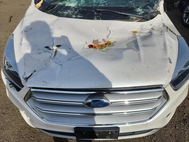 1FMCU9HD1JUC66033 - 2018 FORD ESCAPE SEL 白色 照片 11