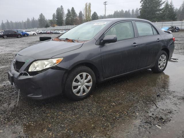 2009 TOYOTA COROLLA BASE, 