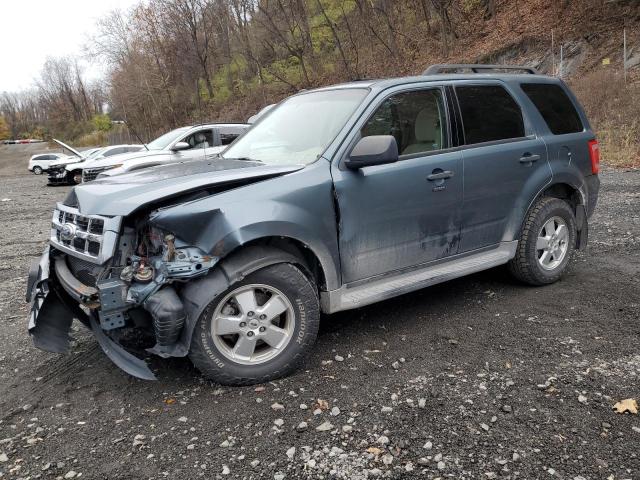 2011 FORD ESCAPE XLT, 