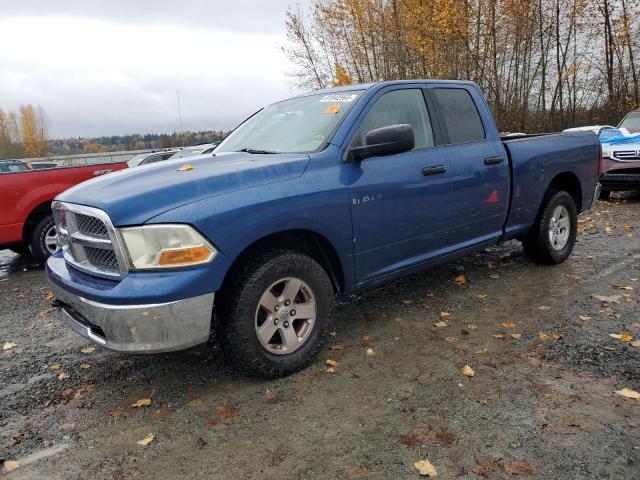 2009 DODGE RAM 1500, 