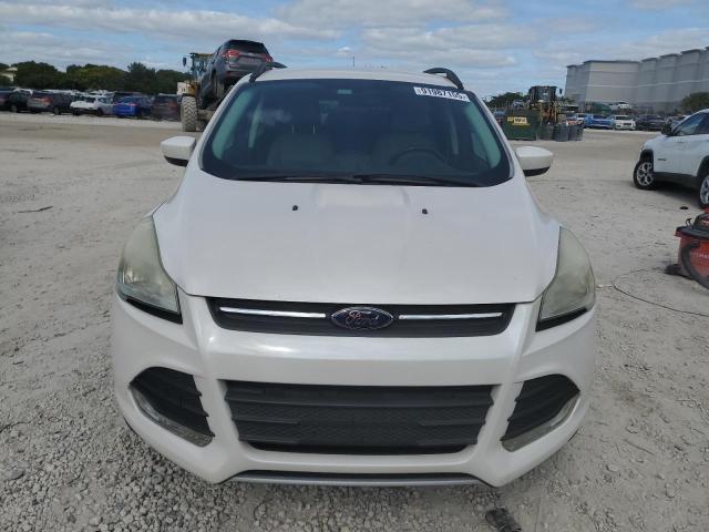 1FMCU0GX5EUD29521 - 2014 FORD ESCAPE SE 白色 照片 5