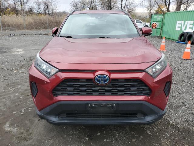 2T3MWRFV5KW007905 - 2019 TOYOTA RAV4 LE Rojo foto 5