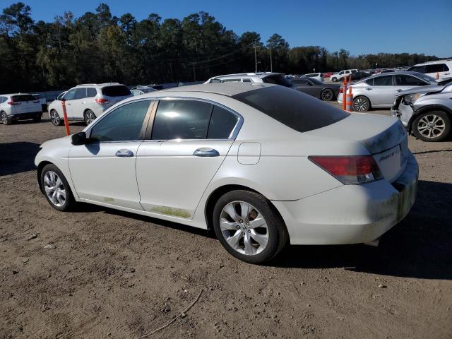 1HGCP36869A018146 - 2009 HONDA ACCORD EXL WHITE photo 2