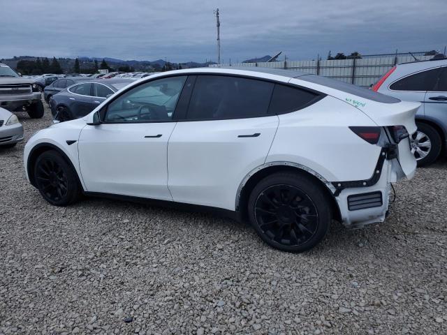 5YJYGDEE7LF058672 - 2020 TESLA MODEL Y Ağ foto 2