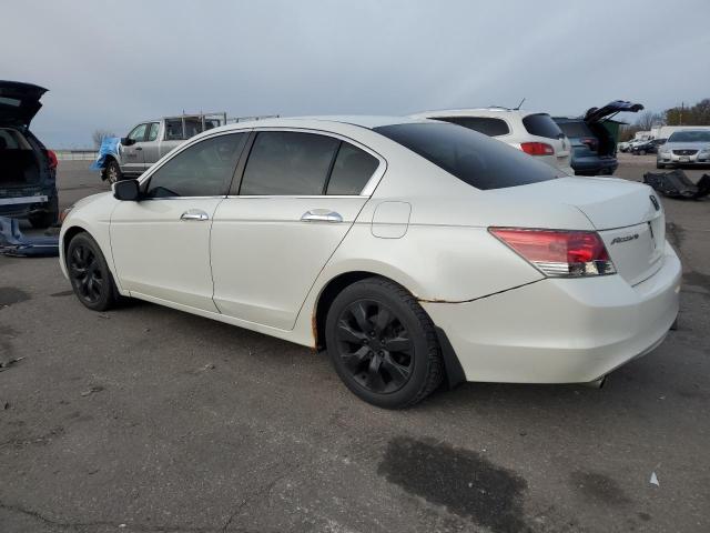 1HGCP368X8A024837 - 2008 HONDA ACCORD EXL WHITE photo 2