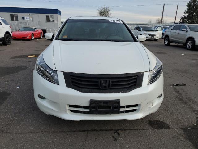 1HGCP368X8A024837 - 2008 HONDA ACCORD EXL WHITE photo 5