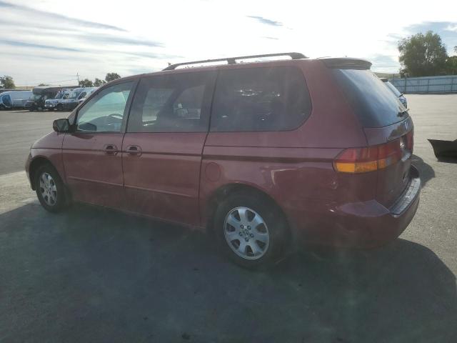 5FNRL18073B109859 - 2003 HONDA ODYSSEY EXL BURGUNDY photo 2
