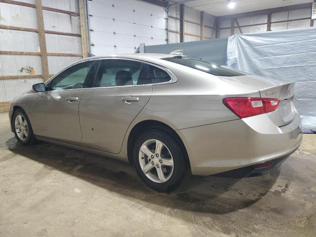 1G1ZD5ST8RF179519 - 2024 CHEVROLET MALIBU LT 棕色 照片 2