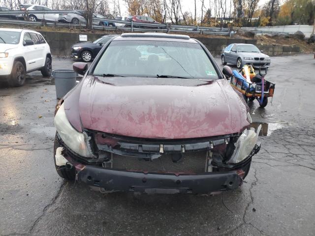 1HGCP3F81CA041048 - 2012 HONDA ACCORD EXL ბურგუნდია ფოტო 5