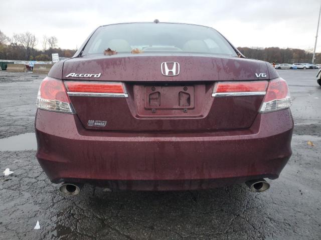 1HGCP3F81CA041048 - 2012 HONDA ACCORD EXL ბურგუნდია ფოტო 6