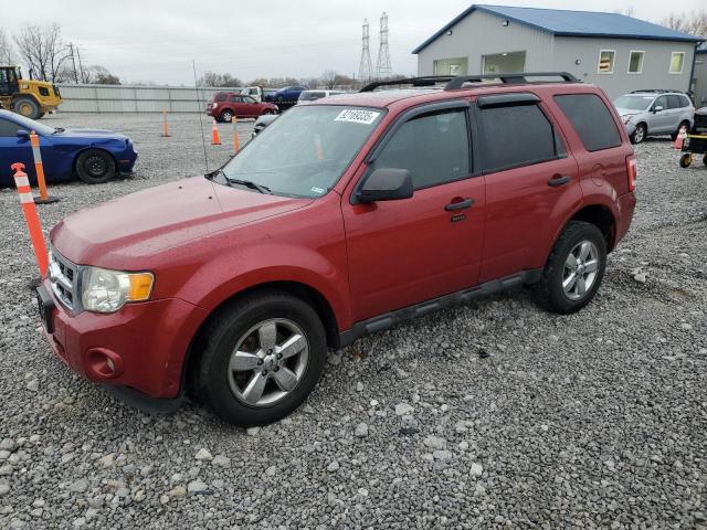 2011 FORD ESCAPE XLT, 