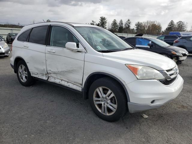 5J6RE4H79AL053257 - 2010 HONDA CR-V EXL WHITE photo 4