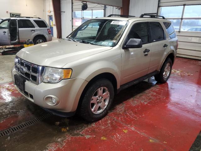 2010 FORD ESCAPE XLT, 