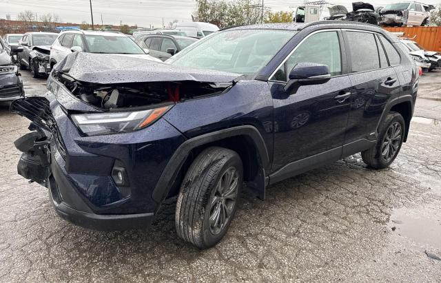 2T3RWRFVXRW191951 - 2024 TOYOTA RAV4 XLE BLUE photo 2
