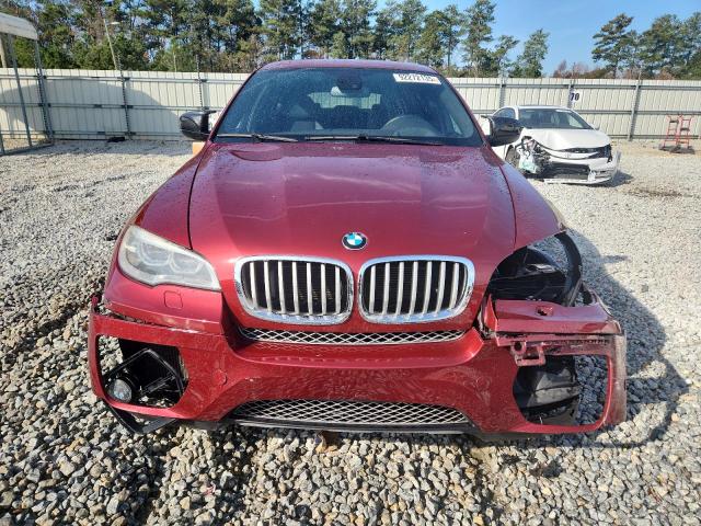 5UXFG8C52DL590913 - 2013 BMW X6 XDRIVE50I RED photo 5