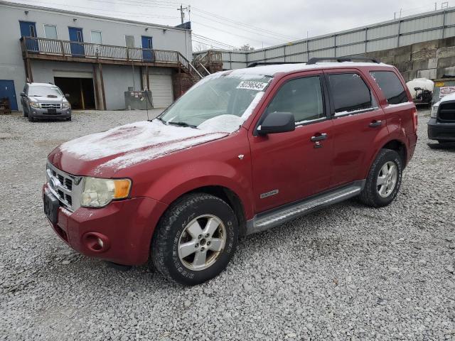 2008 FORD ESCAPE XLT, 
