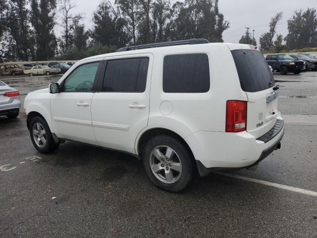 5FNYF38559B023033 - 2009 HONDA PILOT EXL WHITE photo 2