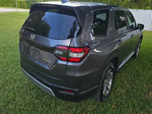 5FNYG2H45SB024798 - 2025 HONDA PILOT EXL 灰色 照片 4
