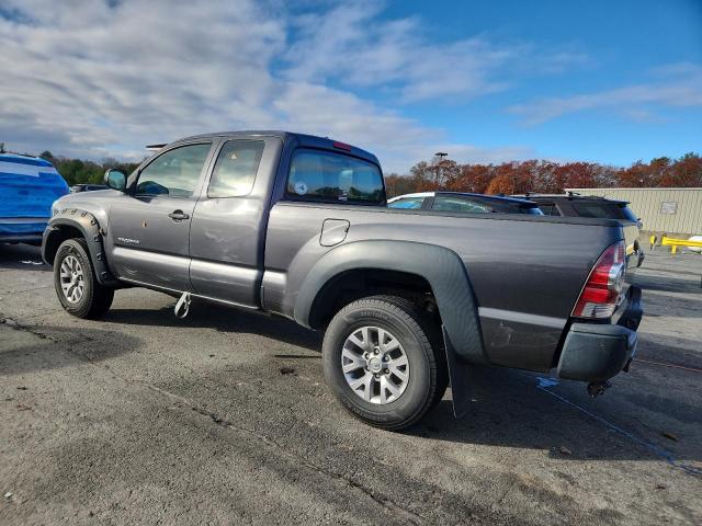 5TEUX4EN0AZ731781 - 2010 TOYOTA TACOMA ACCESS CAB Boz foto 2