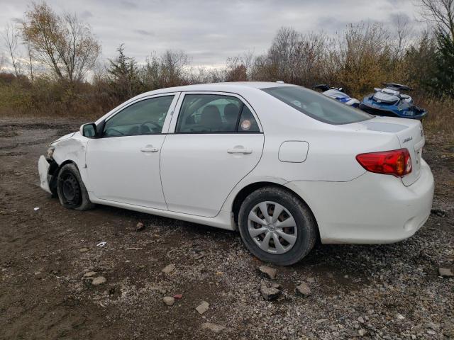 JTDBU4EE5AJ084028 - 2010 TOYOTA COROLLA BASE Blanc photo 2