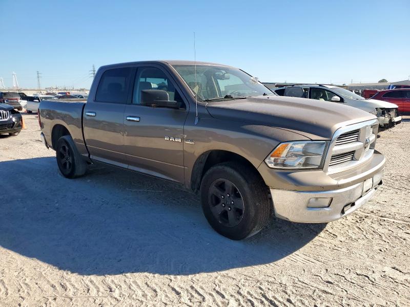 1D3HB13T89S765569 - 2009 DODGE RAM 1500 棕色 照片 4