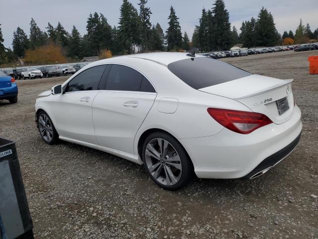 WDDSJ4GB0KN721998 - 2019 MERCEDES-BENZ CLA 250 4MATIC WHITE photo 2