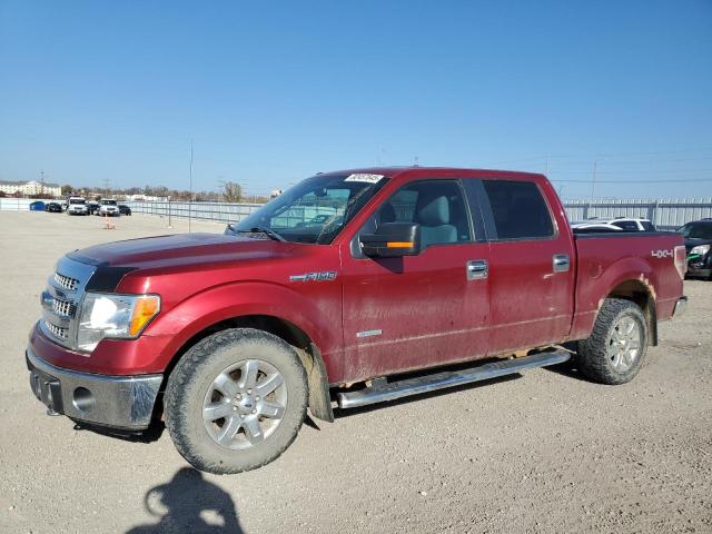 2013 FORD F150 SUPERCREW, null