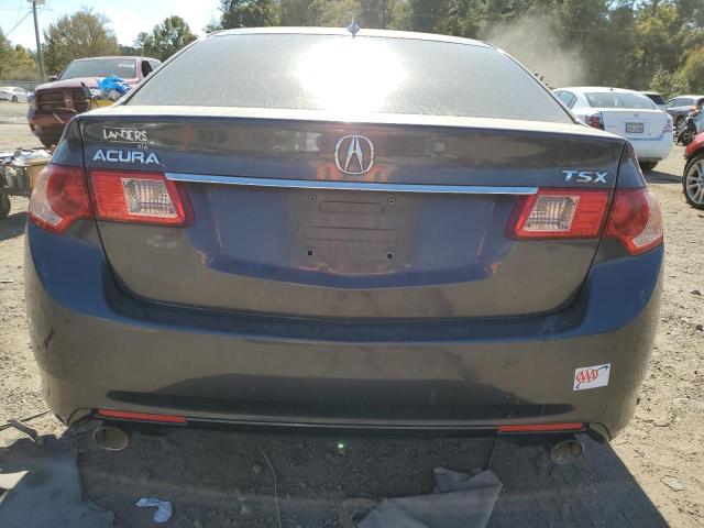 JH4CU2F43DC002190 - 2013 ACURA TSX ნაცრისფერი ფოტო 6