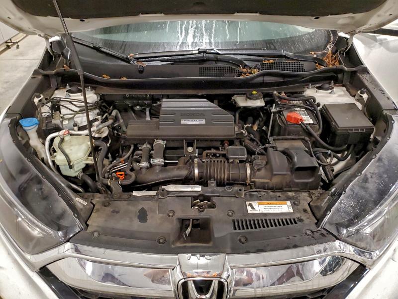 5J6RW2H55HL064766 - 2017 HONDA CR-V EX WHITE photo 12