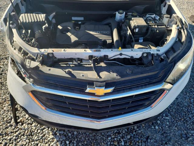 3GNAXJEV6KS623166 - 2019 CHEVROLET EQUINOX LT თეთრი ფოტო 12
