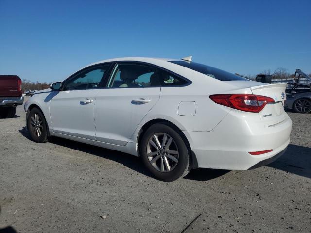 5NPE24AFXGH422171 - 2016 HYUNDAI SONATA SE 白色 照片 2