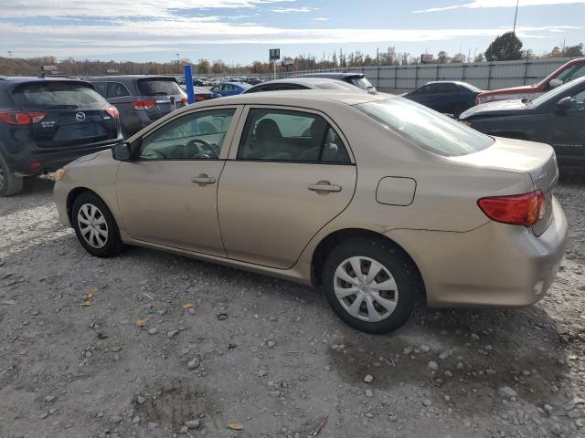 1NXBU40E49Z150291 - 2009 TOYOTA COROLLA BASE GOLD photo 2
