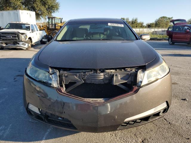 19UUA86539A007761 - 2009 ACURA TL 灰色 照片 5