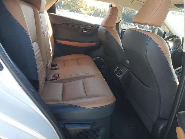 JTJYARBZ0J2087711 - 2018 LEXUS NX 300 BASE Blanc photo 11