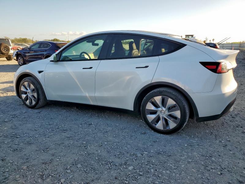 7SAYGDEE3RA259817 - 2024 TESLA MODEL Y Ağ foto 2