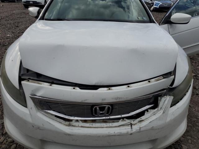 1HGCS22839A010309 - 2009 HONDA ACCORD EXL WHITE photo 11