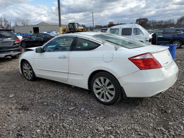 1HGCS22839A010309 - 2009 HONDA ACCORD EXL WHITE photo 2
