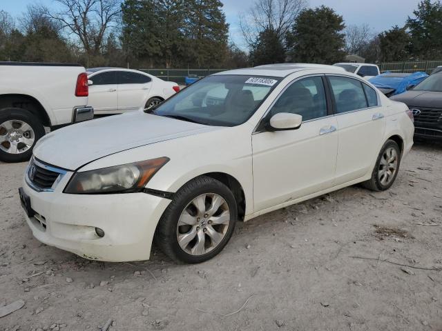 2008 HONDA ACCORD EXL, 