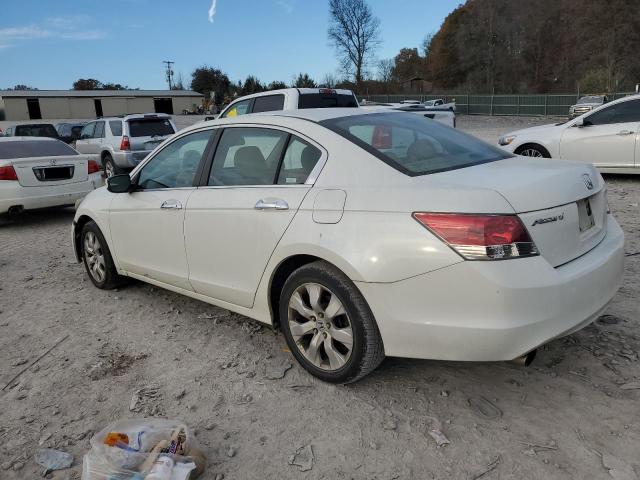1HGCP36828A025965 - 2008 HONDA ACCORD EXL 白色 照片 2