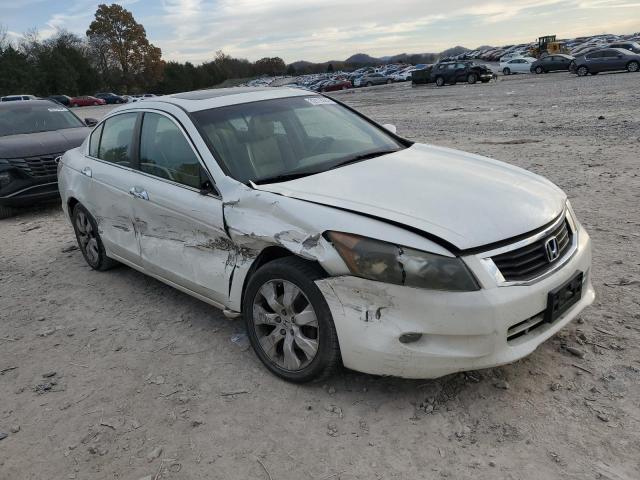 1HGCP36828A025965 - 2008 HONDA ACCORD EXL 白色 照片 4