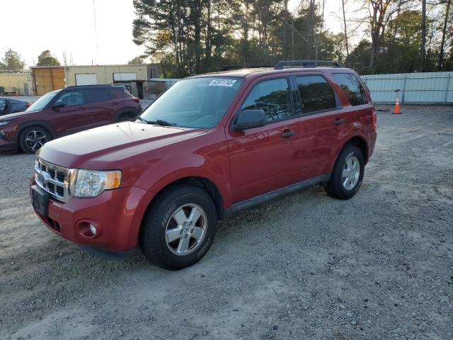 2011 FORD ESCAPE XLT, 