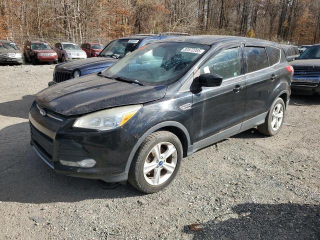 2014 FORD ESCAPE SE, 