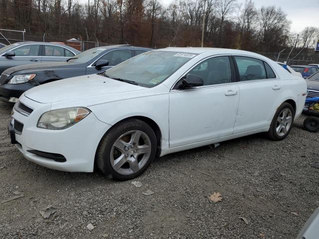 2010 CHEVROLET MALIBU LS, 