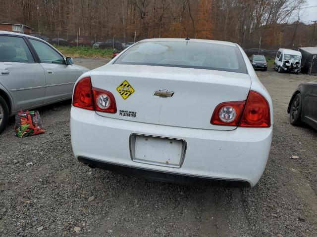 1G1ZB5EB7AF280399 - 2010 CHEVROLET MALIBU LS Weiß Foto 6