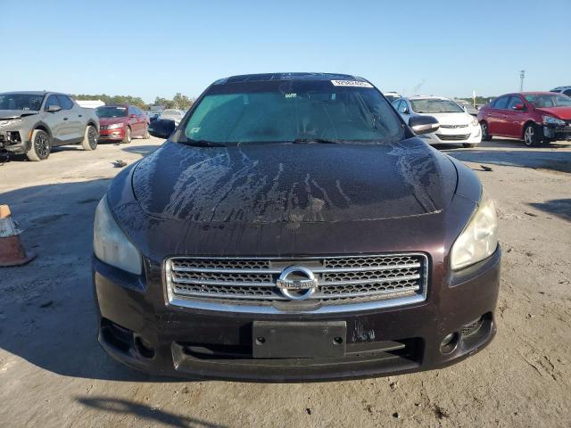 1N4AA5AP0AC823155 - 2010 NISSAN MAXIMA S BROWN photo 5