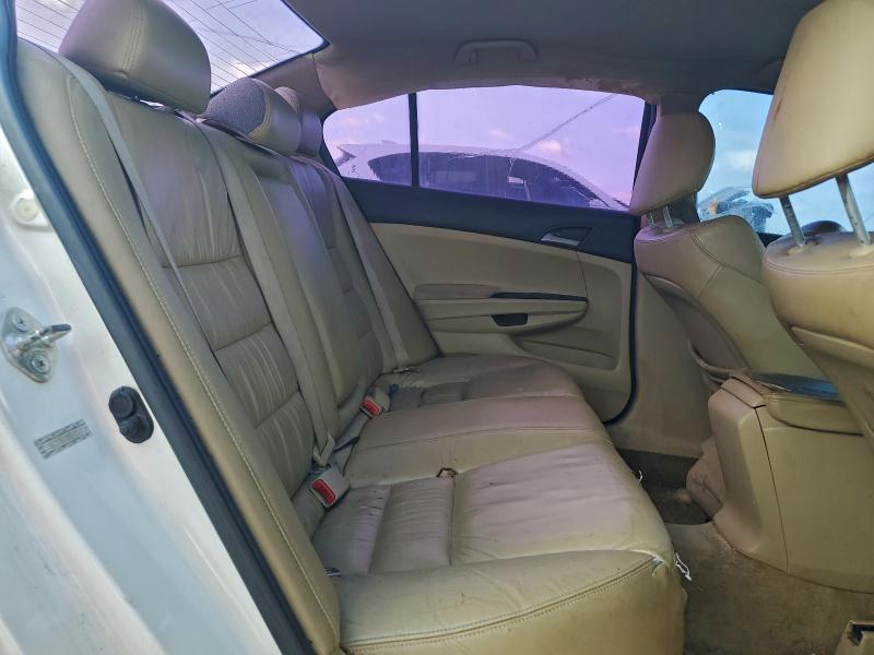 1HGCP2F69BA048577 - 2011 HONDA ACCORD SE თეთრი ფოტო 10